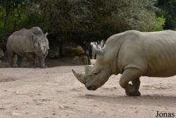 Zoo d'Amnéville