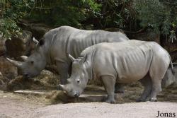 Zoo d'Amnéville