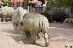 Zoo d'Amnéville