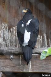 Zoo d'Amnéville