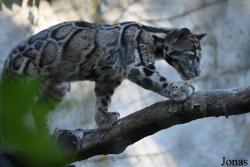 Parc Zoologique et Botanique de Mulhouse
