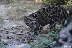 Parc Zoologique et Botanique de Mulhouse