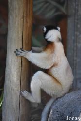 Parc Zoologique et Botanique de Mulhouse