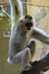 Parc Zoologique et Botanique de Mulhouse