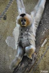 Parc Zoologique et Botanique de Mulhouse