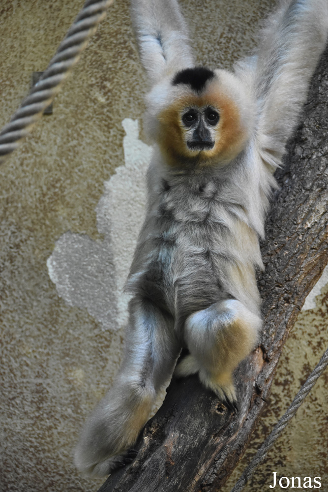 Parc Zoologique et Botanique de Mulhouse