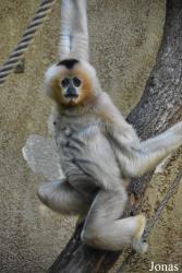 Parc Zoologique et Botanique de Mulhouse