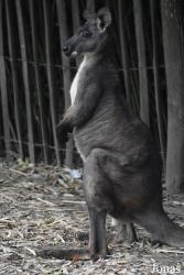 Best Zoo