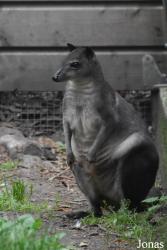 Best Zoo