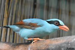 Best Zoo
