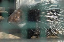 Qingdao Zoo