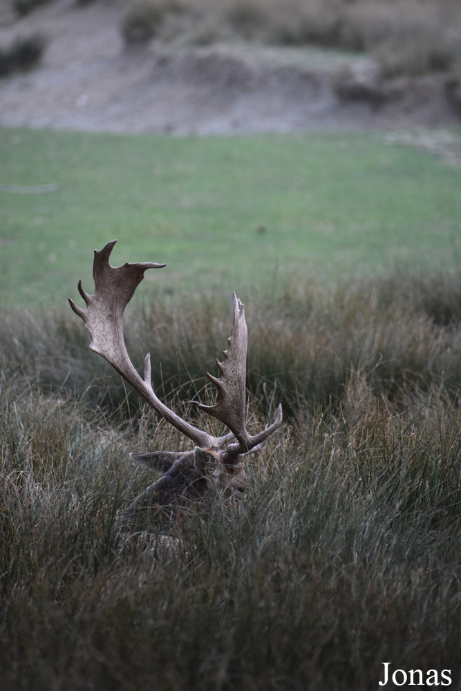 Parc Animalier de Sainte-Croix