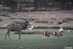 Parc Animalier de Sainte-Croix