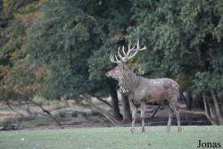 Parc Animalier de Sainte-Croix
