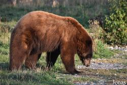 Parc Animalier de Sainte-Croix