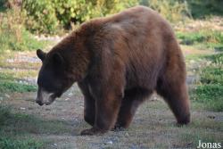 Parc Animalier de Sainte-Croix