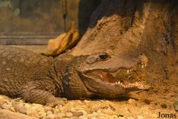 Brookfield Zoo