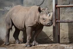 Brookfield Zoo