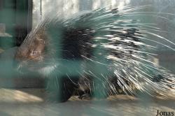 Qingdao Zoo