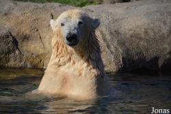 Brookfield Zoo