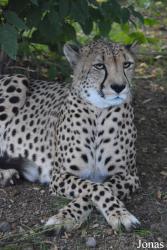 Moscow Zoo
