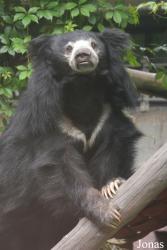 Moscow Zoo