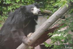 Moscow Zoo