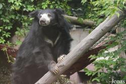 Moscow Zoo