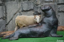 Moscow Zoo