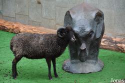 Moscow Zoo