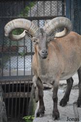 Moscow Zoo