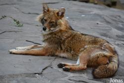 Moscow Zoo