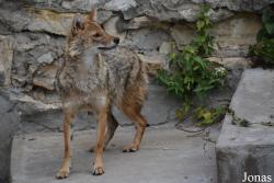 Moscow Zoo