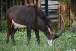 Moscow Zoo