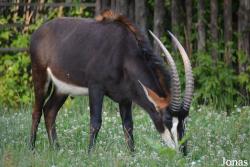 Moscow Zoo