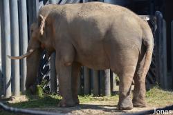 Moscow Zoo
