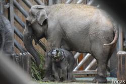 Moscow Zoo
