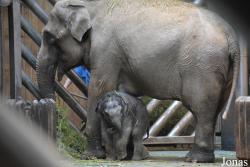 Moscow Zoo