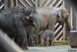 Moscow Zoo