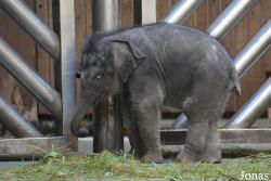 Moscow Zoo