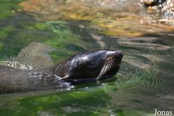 Moscow Zoo