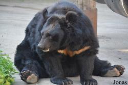 Moscow Zoo