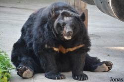 Moscow Zoo