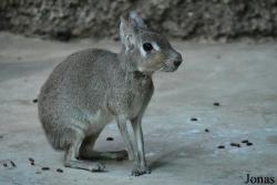Moscow Zoo