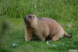 Moscow Zoo