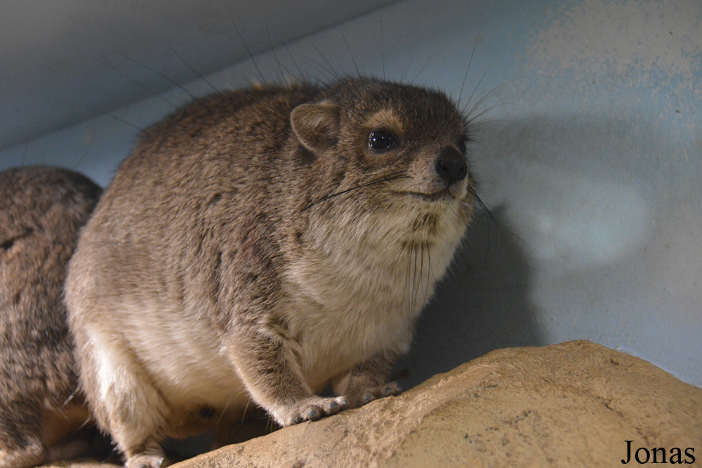 Moscow Zoo