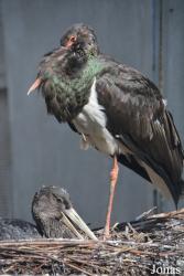 Moscow Zoo