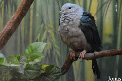 Moscow Zoo