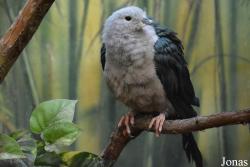 Moscow Zoo