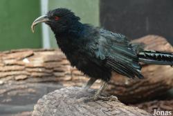 Moscow Zoo